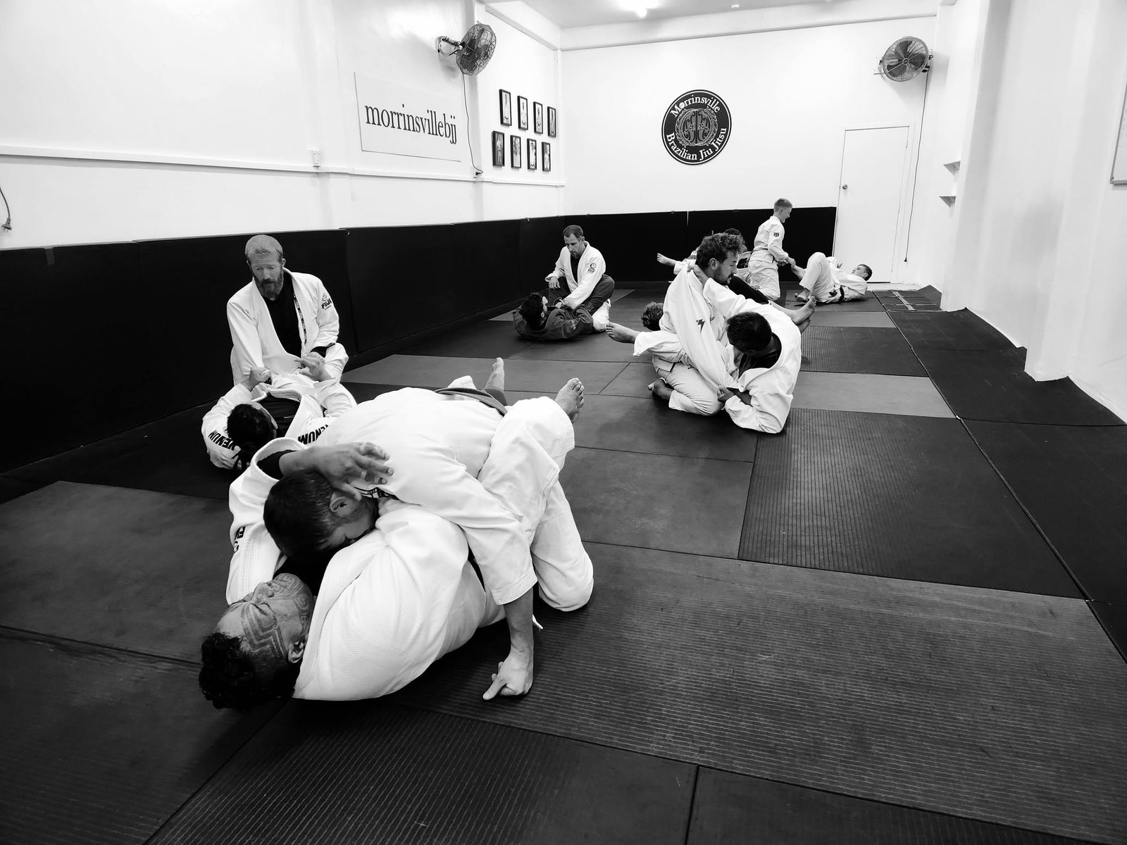 Adult BJJ